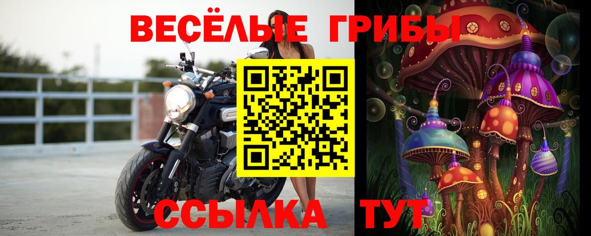 Псилоцибиновые грибы Psilocybe  Вход с VPN  Узловая 